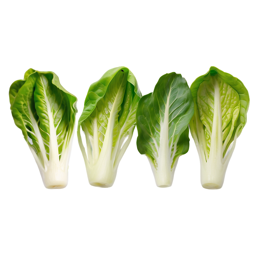 Baby Lettuce Leaves Png Rbv76 PNG Image