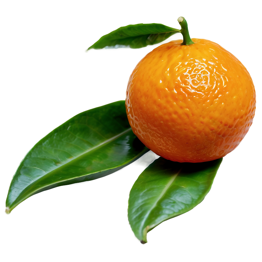 Baby Mandarin Png 47 PNG Image