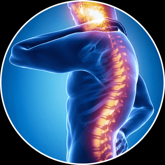 Back_ Pain_ Illustration PNG Image