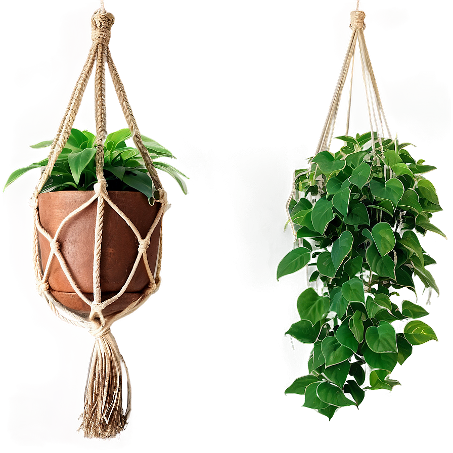 Balcony Hanging Plant Png Fqm PNG Image