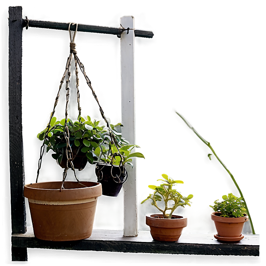 Balcony Hanging Plant Png Ybt PNG Image