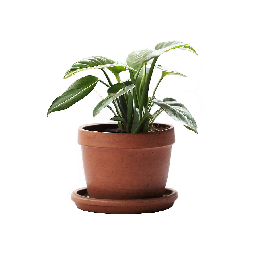 Balcony Houseplant Png Aoh47 PNG Image