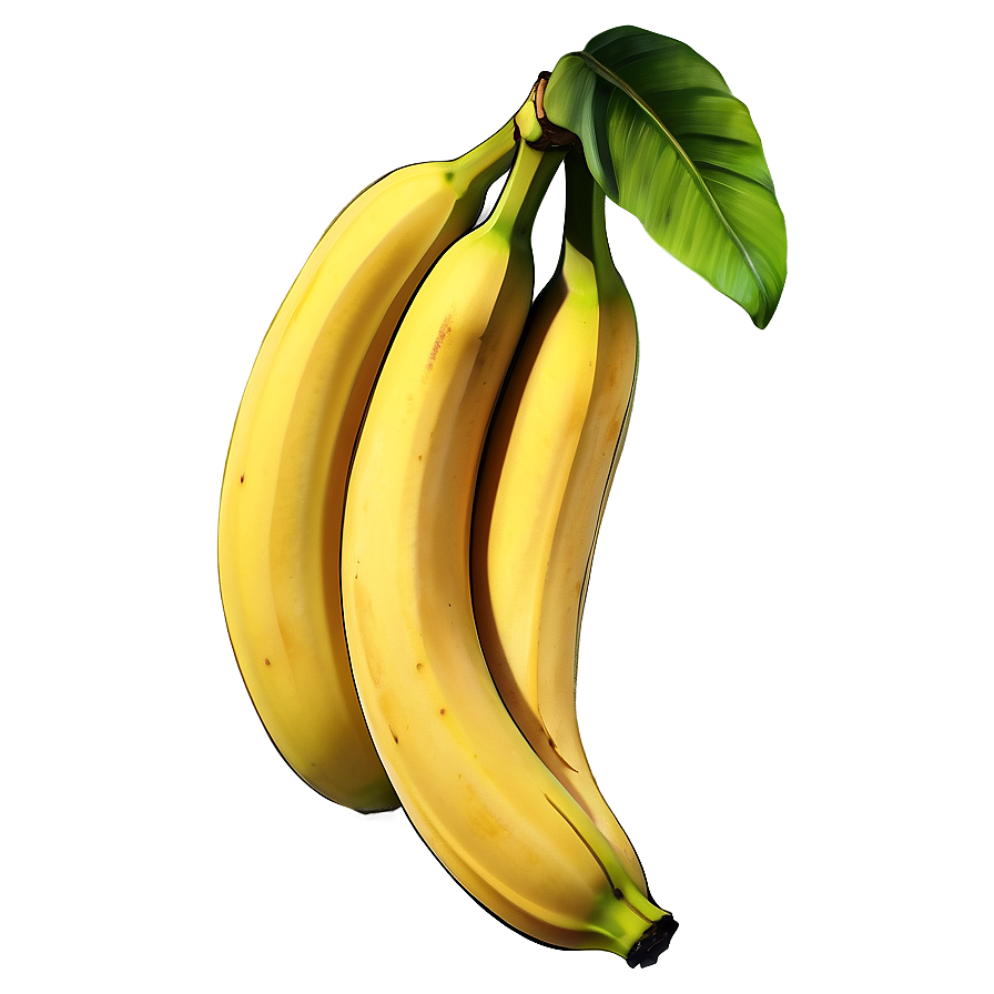 Banana Illustration Png Xsy PNG Image