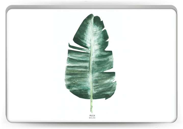 Banana Leaf Artwork PNG Image