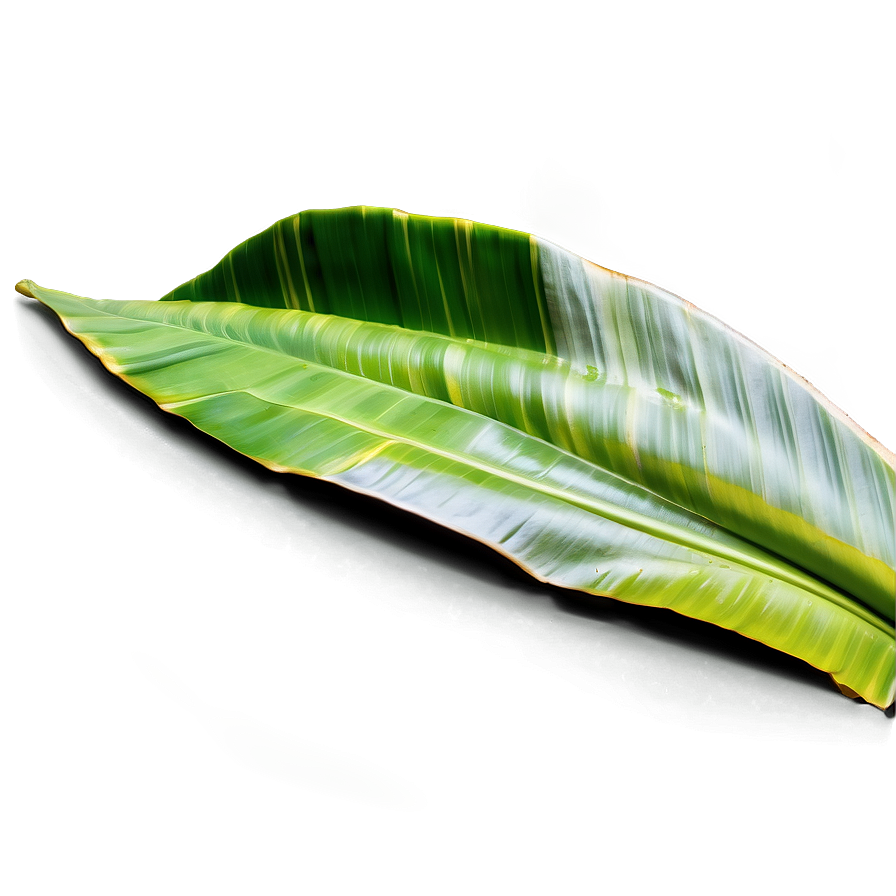 Banana Leaf Background Png 15 PNG Image