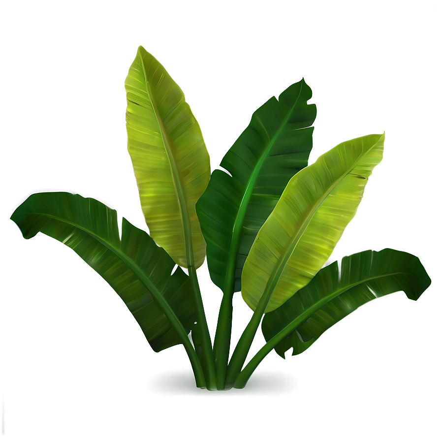 Banana Leaf Environment Png 06232024 PNG Image