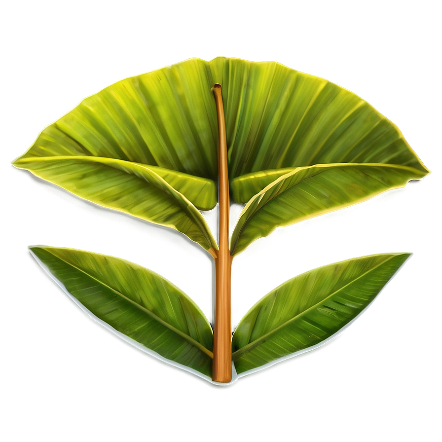 Banana Leaf Icon Png 95 PNG Image