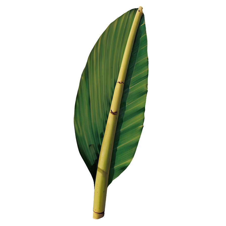 Banana Leaf Natural Png Mqa PNG Image