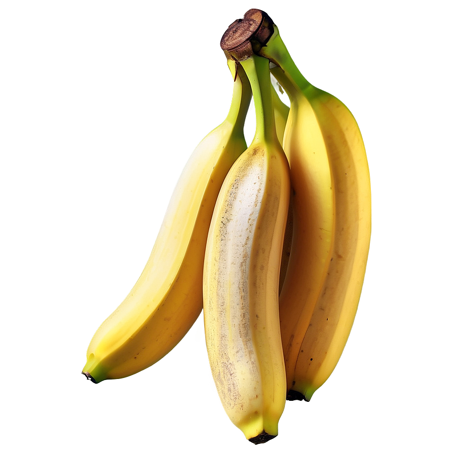 Banana Sketch Png 05042024 PNG Image