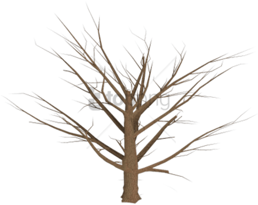 Bare Branches Dead Tree Against Sky PNG Image