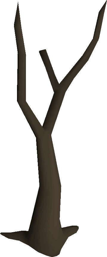 Bare Branches Dead Tree PNG Image