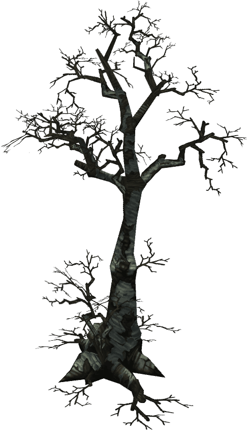 Bare Branches Dead Tree PNG Image