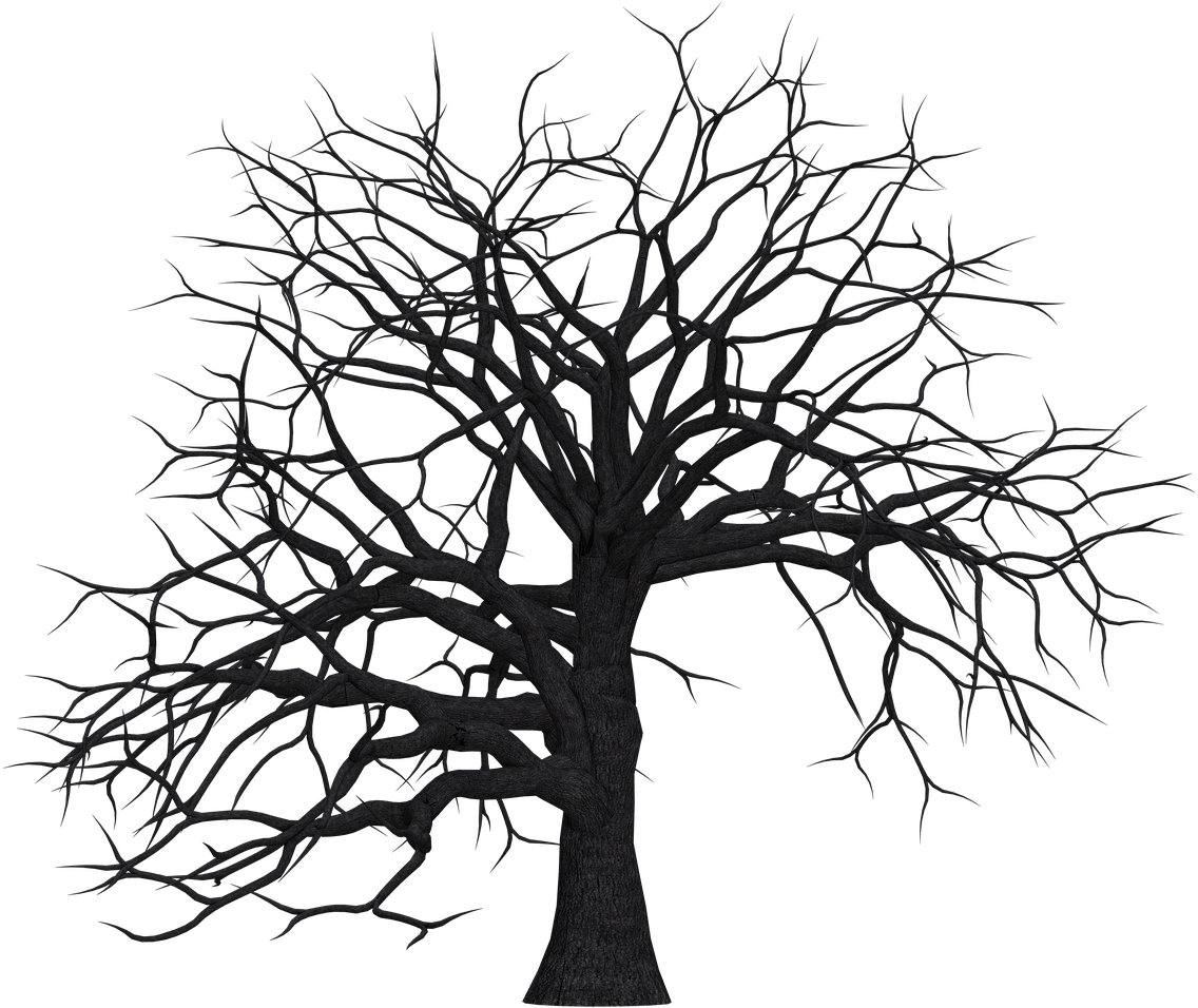 Bare Branches Silhouette PNG Image