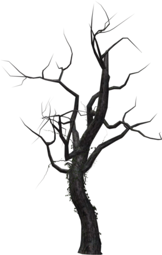 Bare Branches Silhouette PNG Image