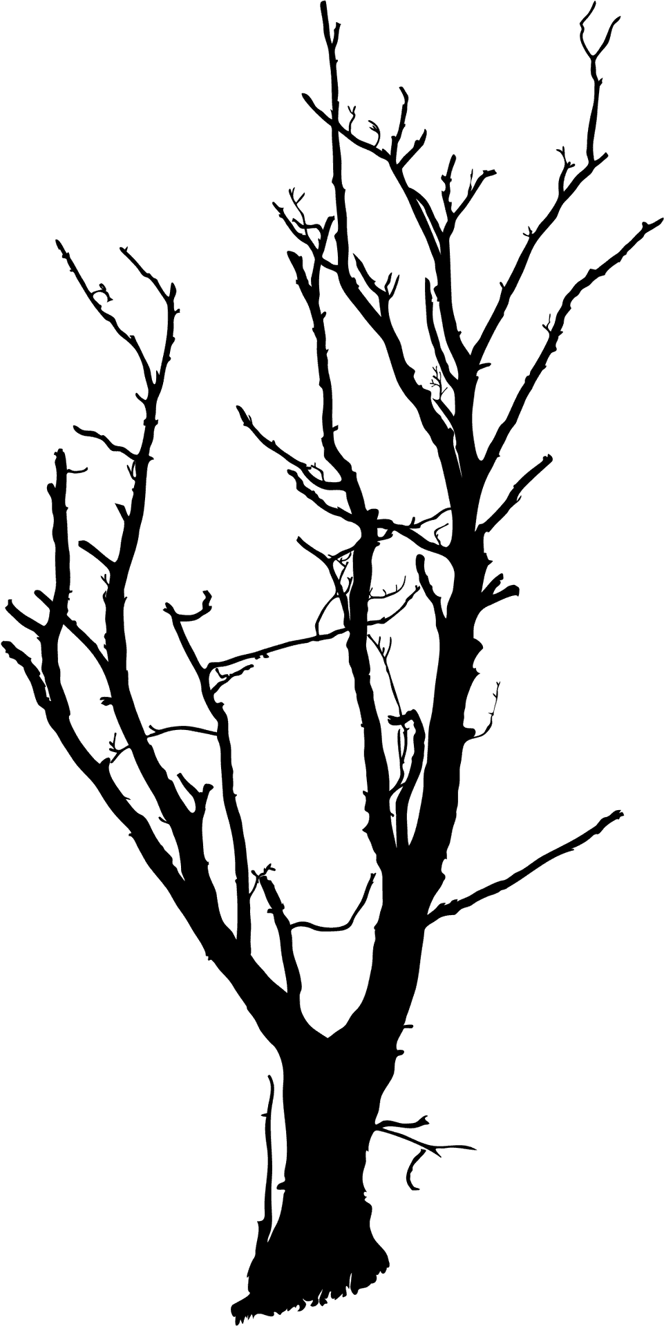 Bare Branches Silhouette PNG Image