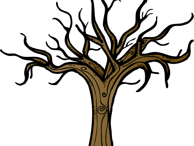 Bare Branches Tree Illustration PNG Image