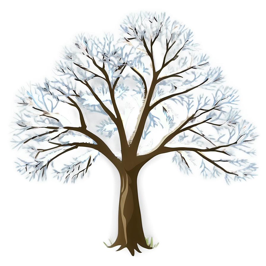 Bare Oak Tree Png 06282024 PNG Image