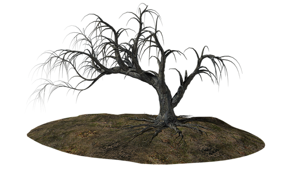 Bare Tree Against Black Background PNG Image