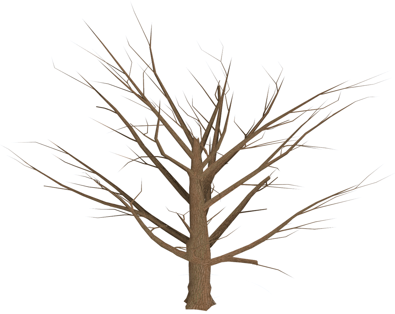 Bare Tree Blue Sky Background PNG Image