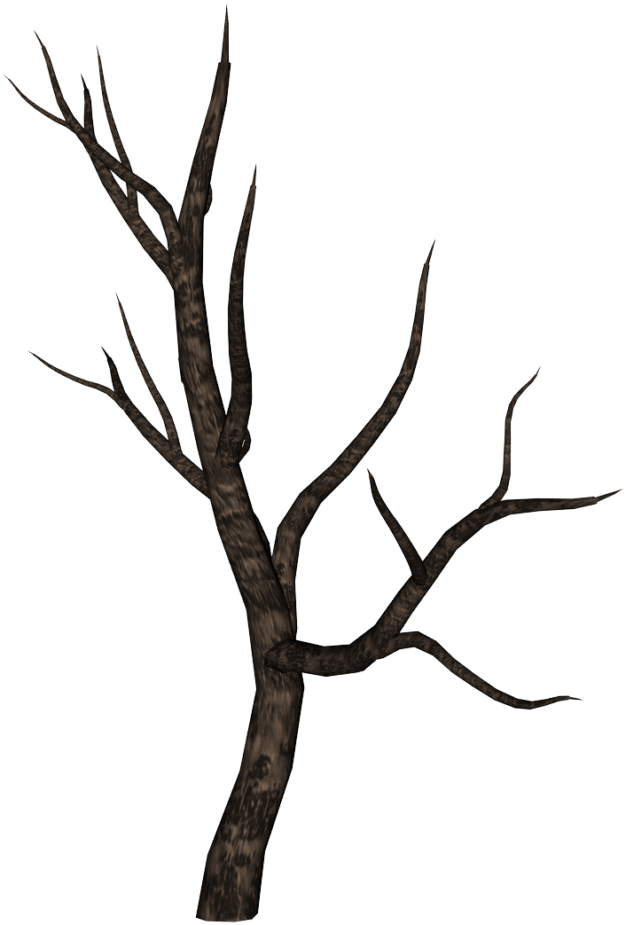 Bare Tree Branch Silhouette PNG Image