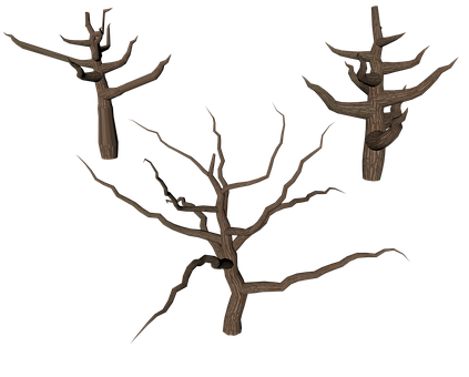 Bare Tree Branches3 D Render PNG Image