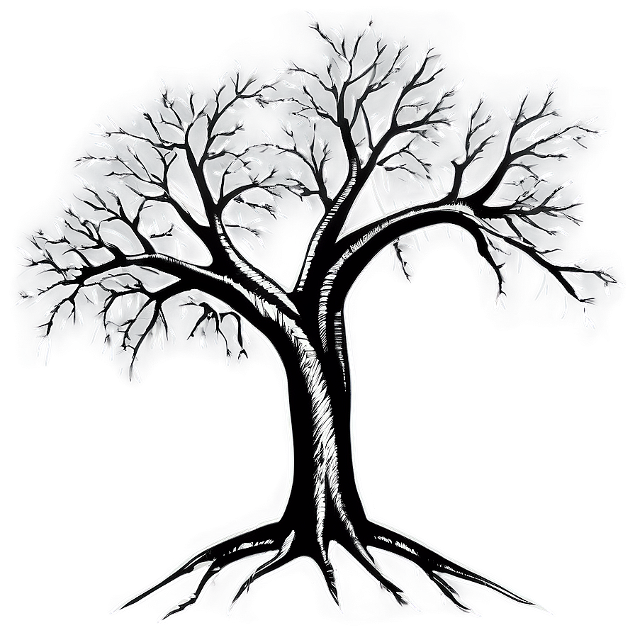 Bare Tree Outline Png Xjg91 PNG Image