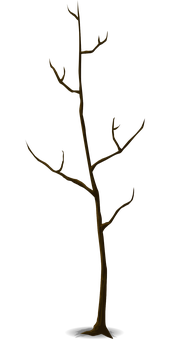 Bare Tree Silhouette Against Dark Background PNG Image