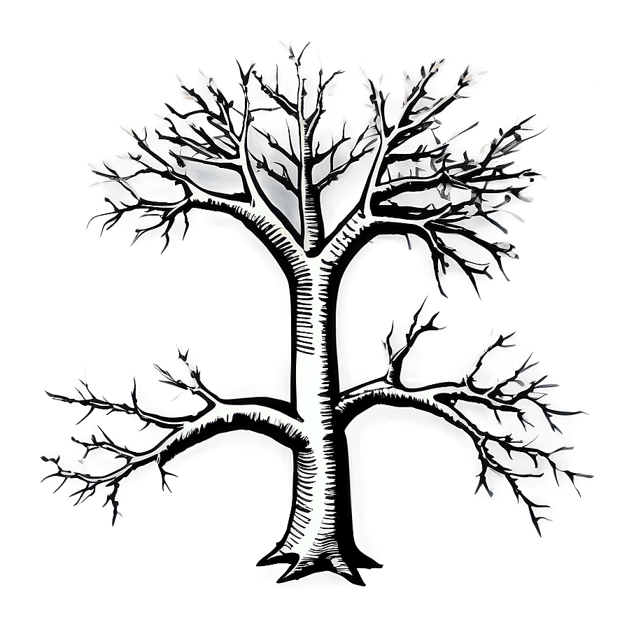 Bare Tree Sketch Png Djt70 PNG Image