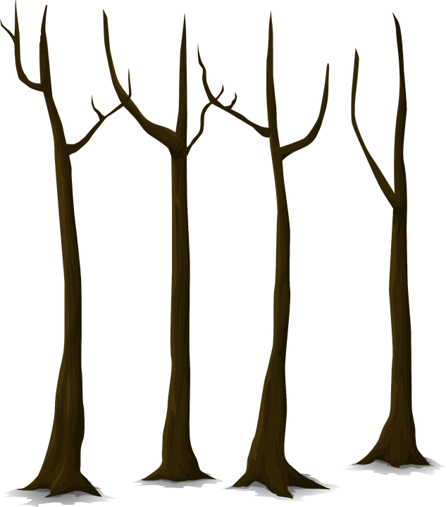 Bare Tree Trunks Illustration PNG Image