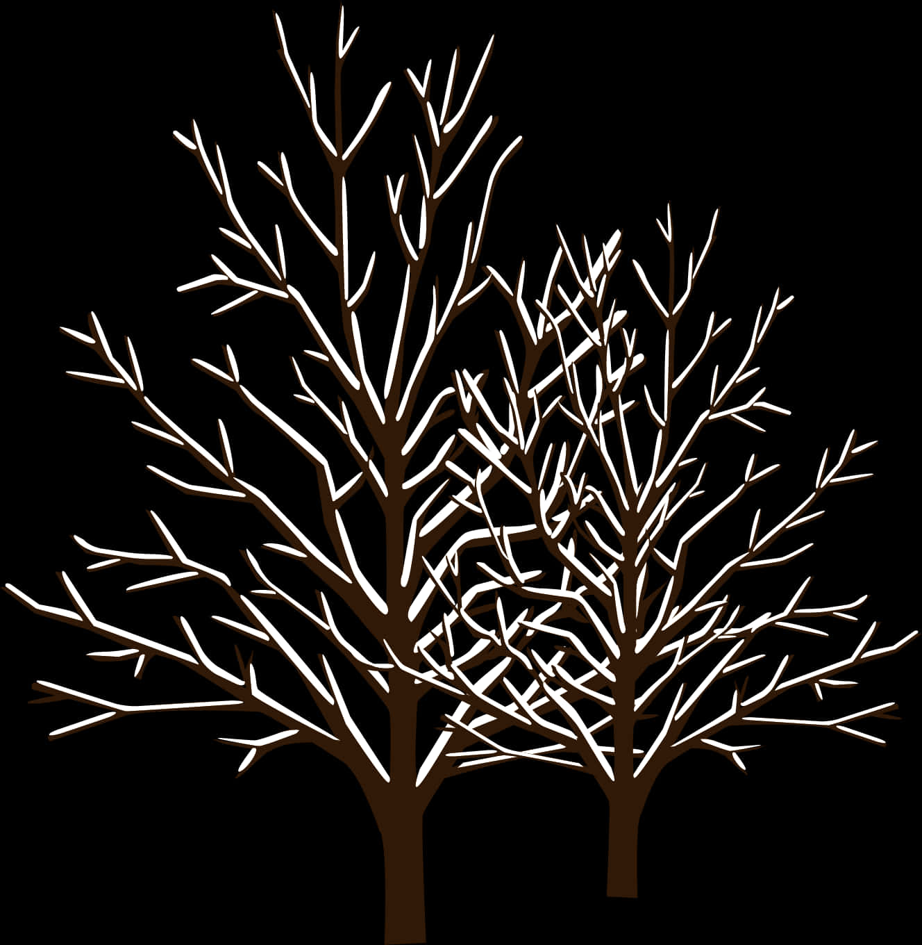 Bare Trees Silhouette Against Dark Background PNG Image