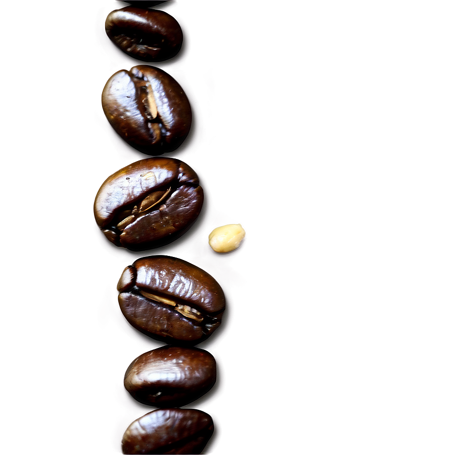 Barista Coffee Beans Png 44 PNG Image