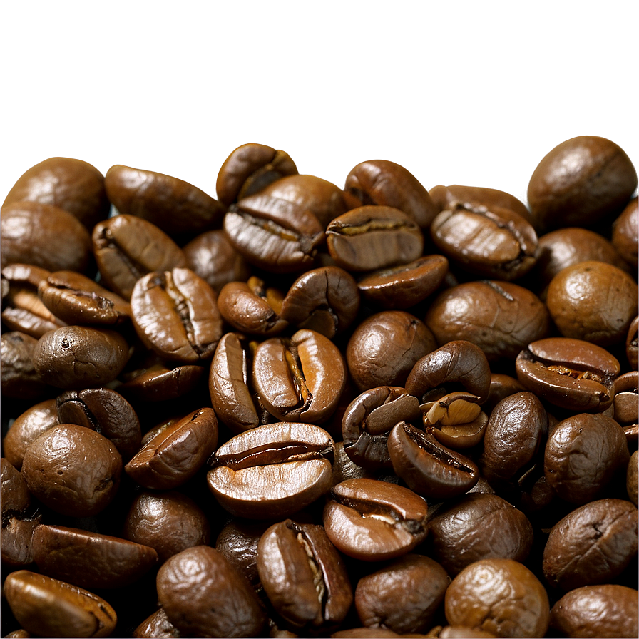 Barista Coffee Beans Png 61 PNG Image