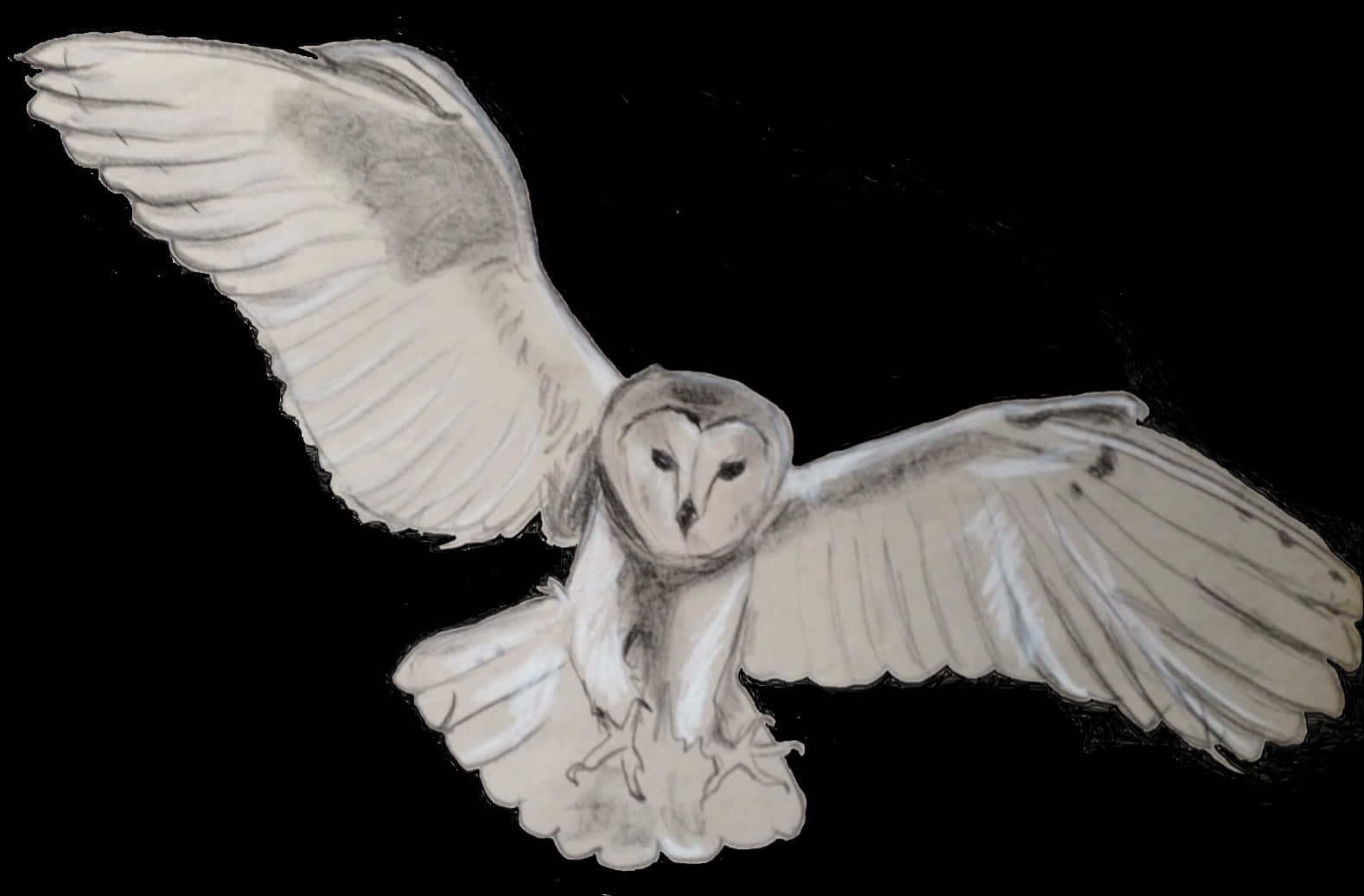 Barn Owl In Flight PNG Image