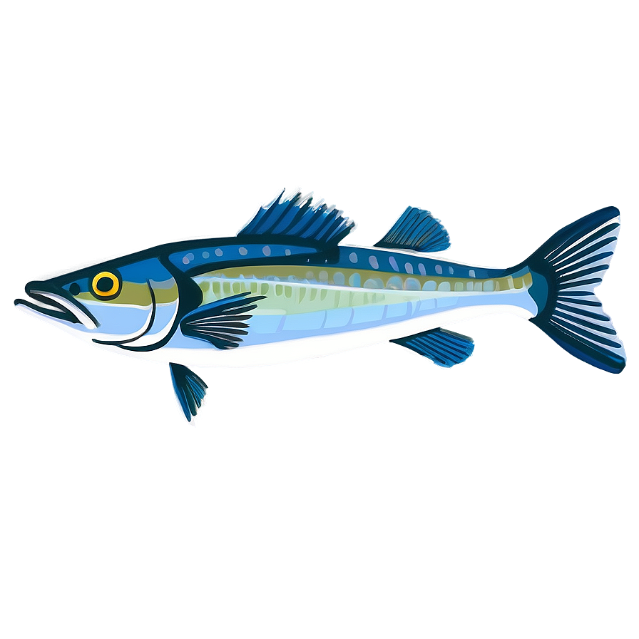 Barracuda Fish Png 39 PNG Image