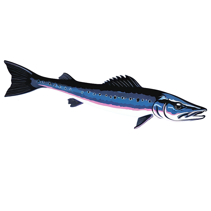 Barracuda Vector Art Png Mpi65 PNG Image