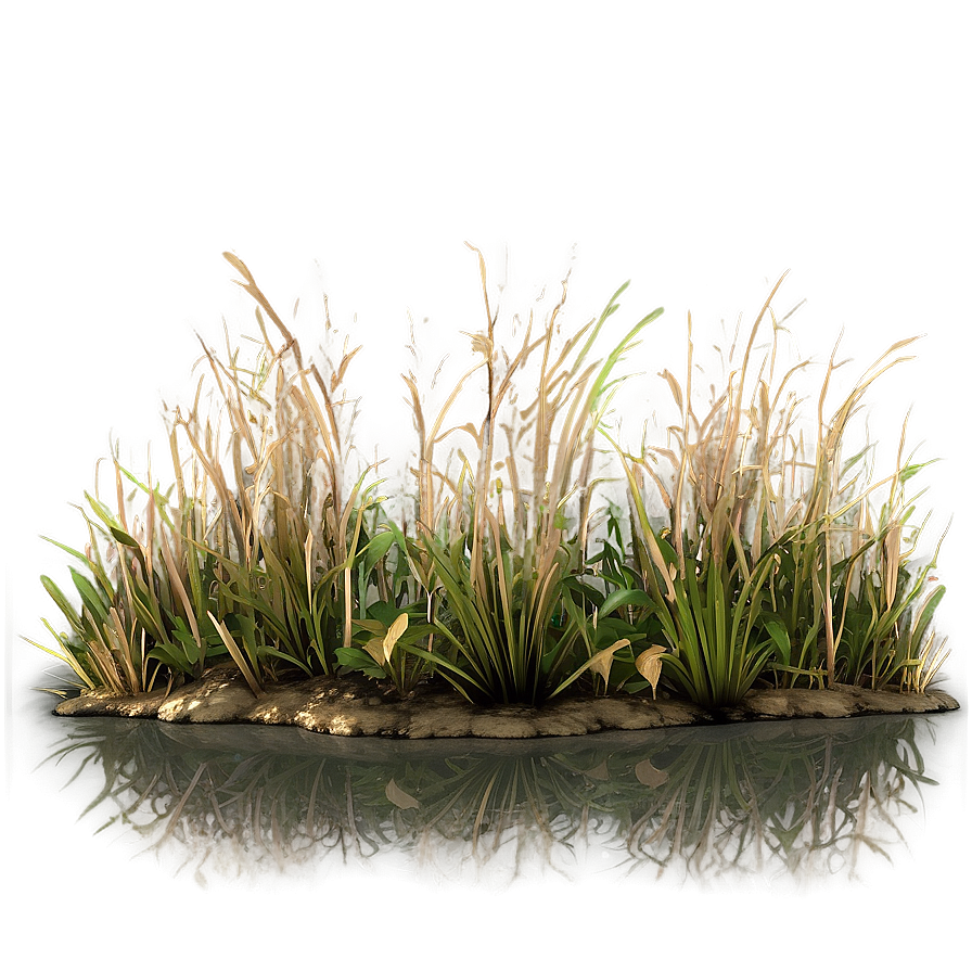 Barren Field Grass Png Hgj PNG Image