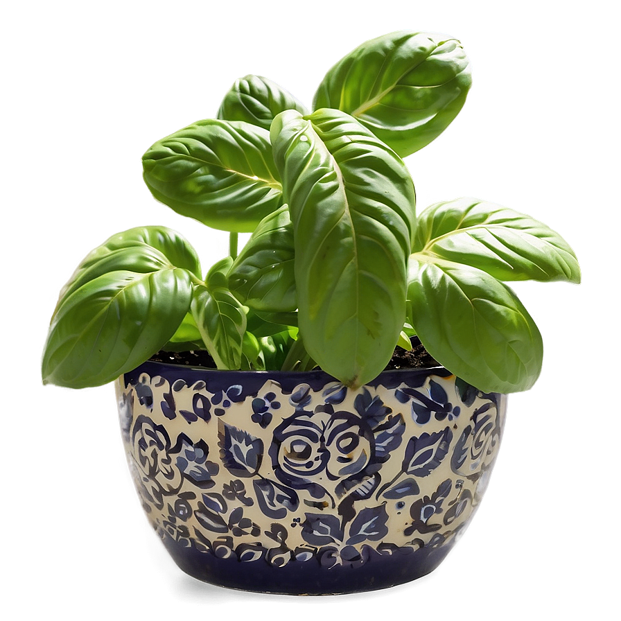 Basil Plant Pot Png 29 PNG Image