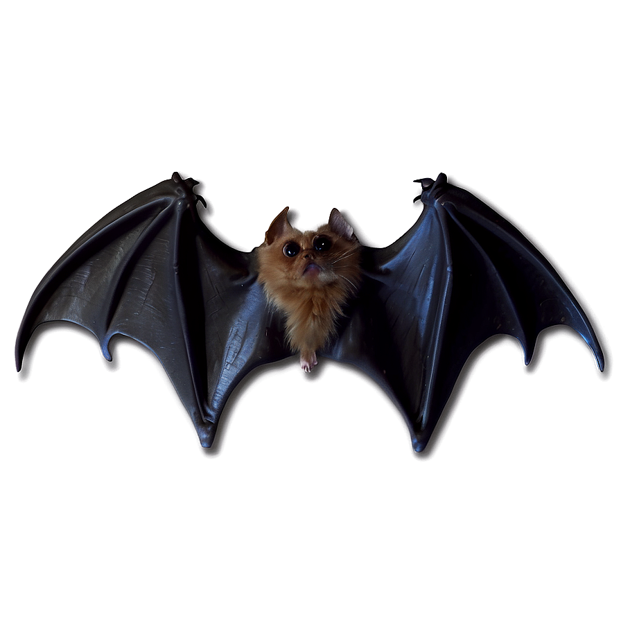 Bat Wings Png Brf56 PNG Image