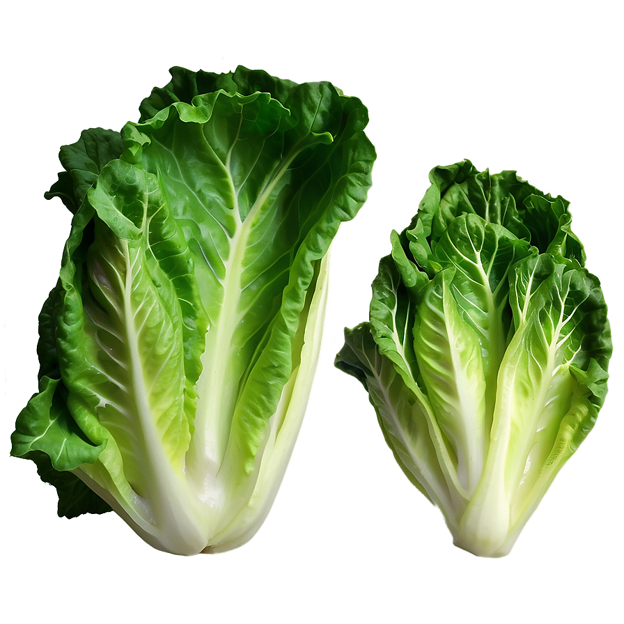 Batavia Lettuce Png Bis98 PNG Image