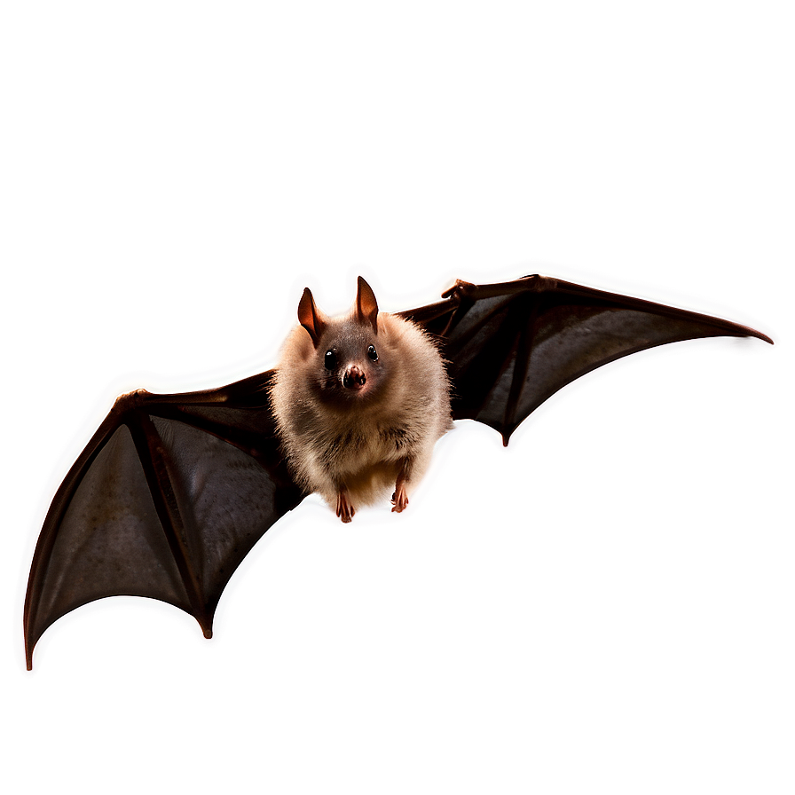 Bats Night Flight Png Lbi80 PNG Image