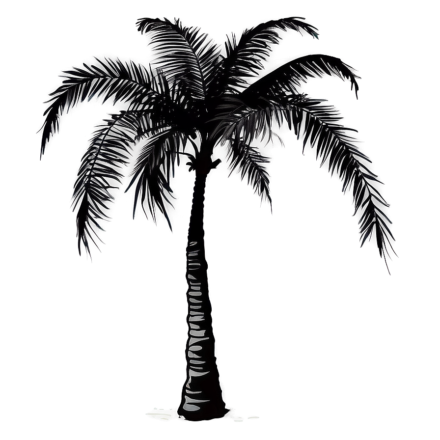 Beach Palm Silhouette Png Mgo74 PNG Image