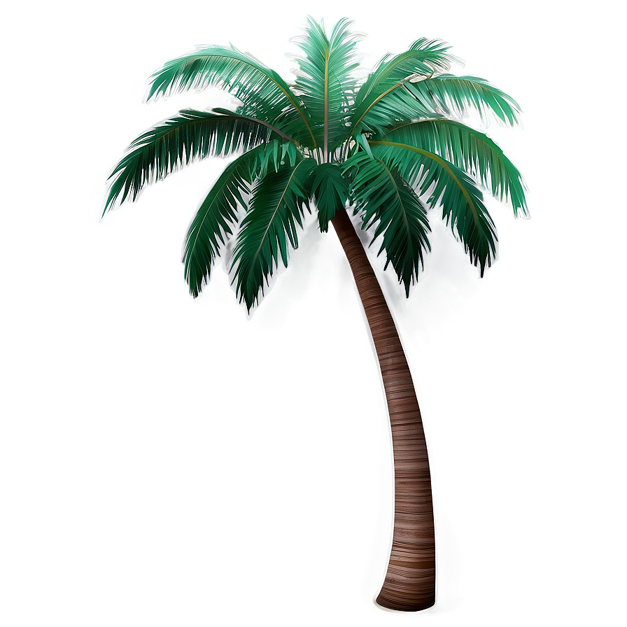 Beach Palm Tree Png Jta1 PNG Image