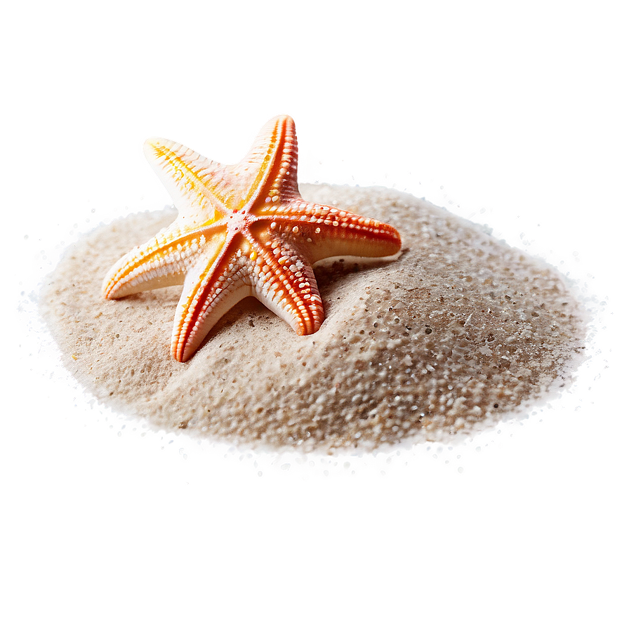 Beach Sand With Starfish Png Eyo32 PNG Image