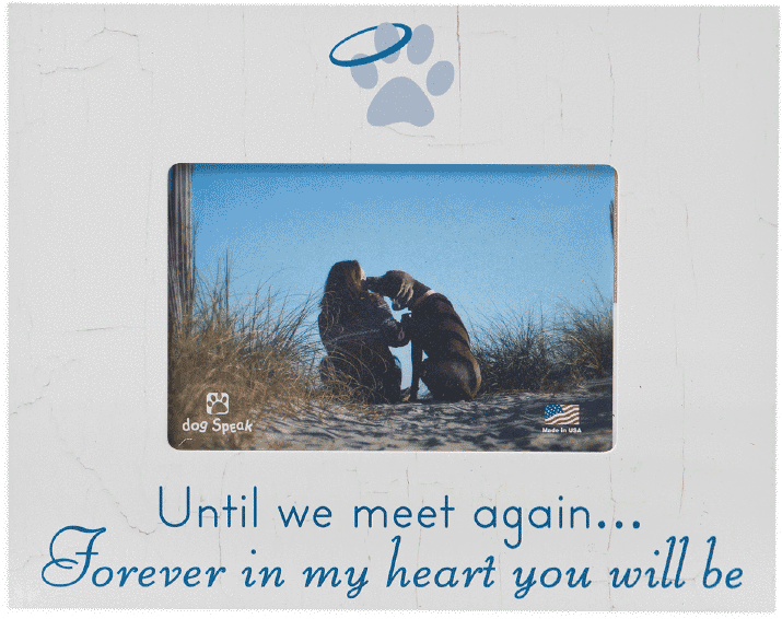 Beachside_ Memory_with_ Dog PNG Image