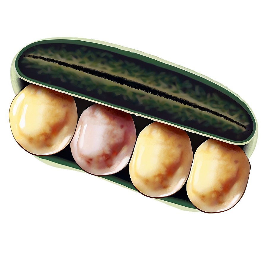 Beans Can Vector Png 72 PNG Image