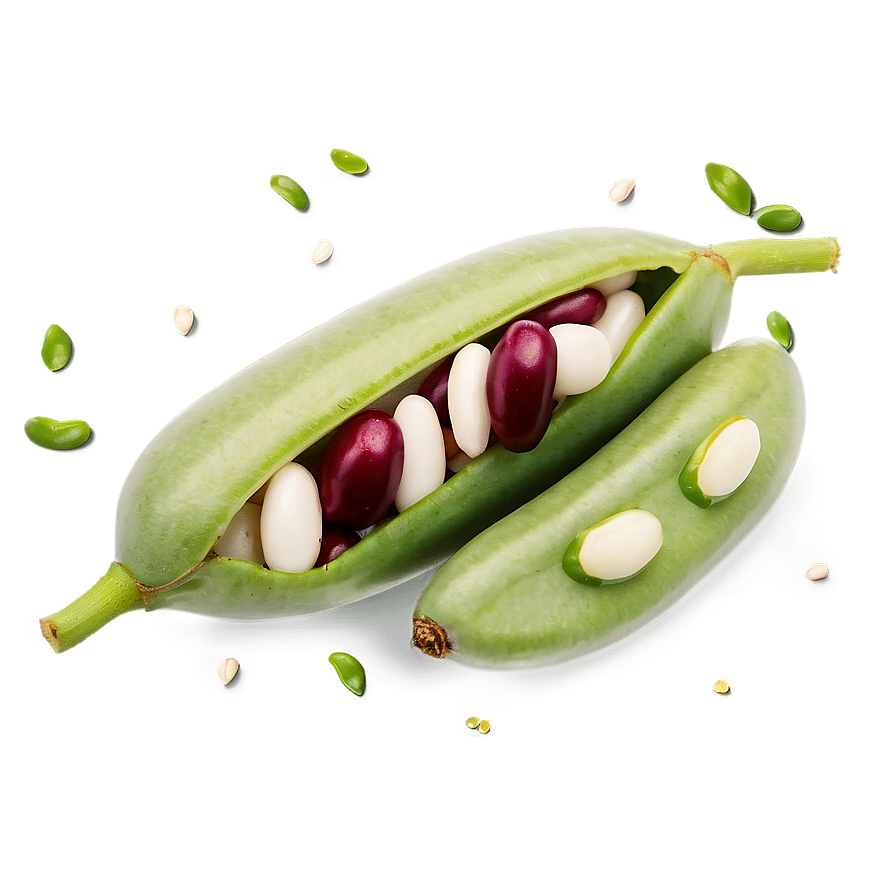 Beans Graphic Png 87 PNG Image