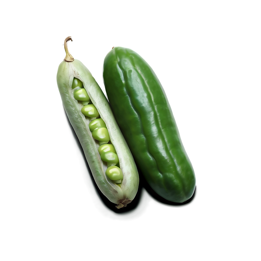 Beans Graphic Png Ebk63 PNG Image