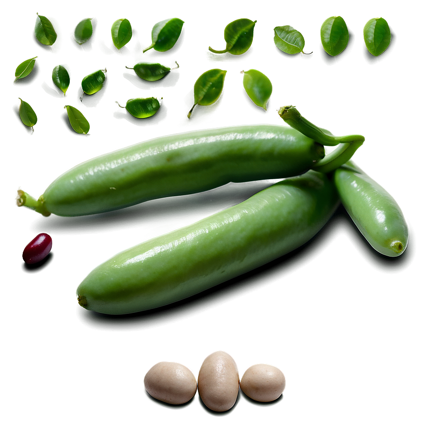 Beans Harvest Png Drt PNG Image