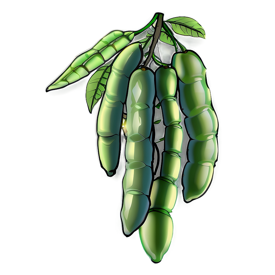 Beans Plant Png Pjf60 PNG Image