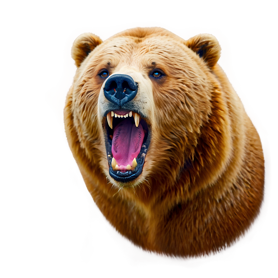 Bear Face Flat Design Png Ivg73 PNG Image